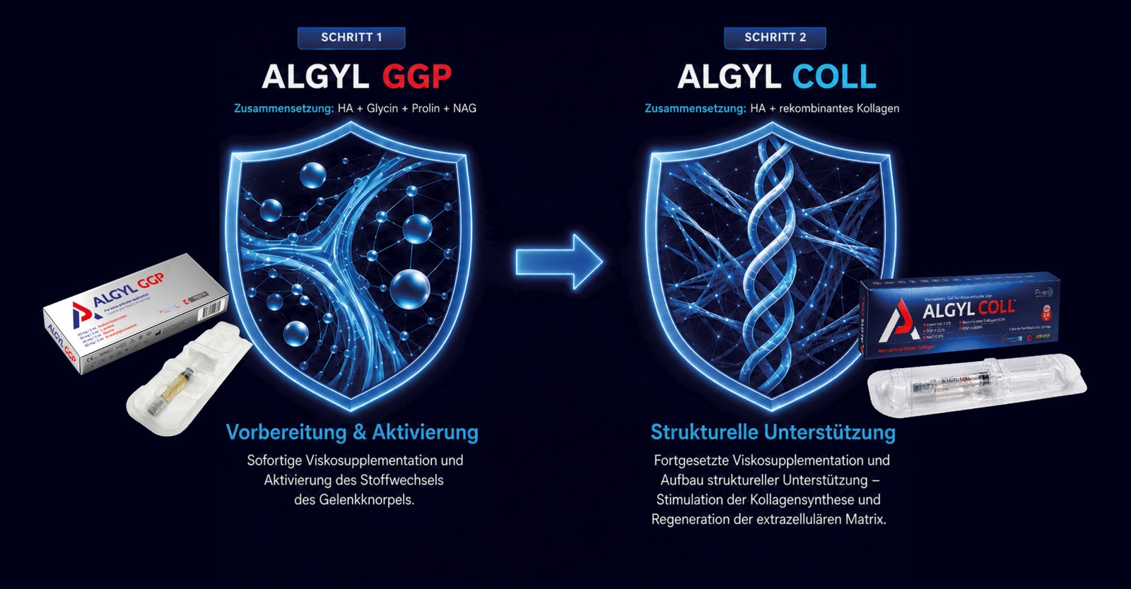 Sequenzielles Protokoll – Schritt 1: ALGYL GGP, Zusammensetzung: HA + Glycin + Prolin + NAG; Vorbereitung & Aktivierung: sofortige Viskosupplementation und Aktivierung des Stoffwechsels des Gelenkknorpels. Schritt 2: ALGYL COLL, Zusammensetzung: HA + rekombinantes Kollagen; Strukturelle Unterstützung: fortgesetzte Viskosupplementation und Aufbau struktureller Unterstützung – Stimulation der Kollagensynthese und Regeneration der extrazellulären Matrix.